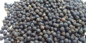 10mm Black Pepper Seeds