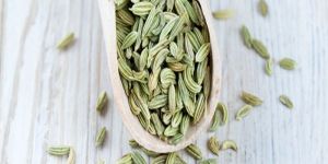 Fennel Seeds