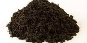 Vermi Compost