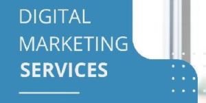 Social Media Management Services