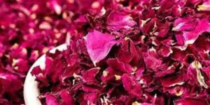 Dry Rose Petals