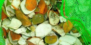 Orange Peel