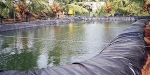 HDPE Geomembrane Sheet