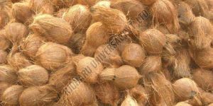Semi Husked Coconut