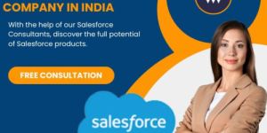 Sales Force Automation Service
