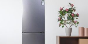 rent fridge service
