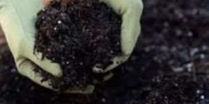 organic fertilizers testing