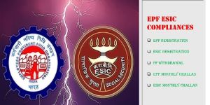 EPF ESIC Consultant