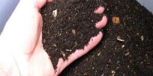 10kg Vermicompost Fertilizer Powder