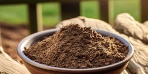 2Kg Cow Dung Powder