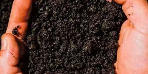 2kg Vermicompost Fertilizer Powder