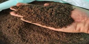5kg Enriched VermiCompost Fertilizer Powder