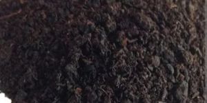 5kg Vermicompost Fertilizer Powder