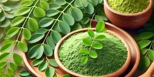Moringa Powder