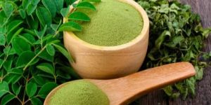 Dehydrated Moringa Powder