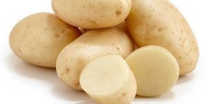 a Grade Brown Potato