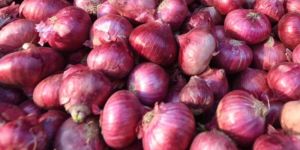 B Grade Red Onion