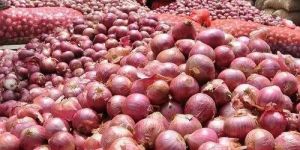 Natural Red Onion