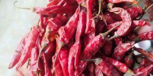 Dried Red Chili