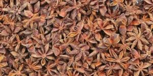 Star Anise