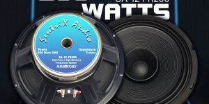 sentrix audio 12 inches professional speaker