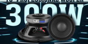 sentrix audio professional woofer