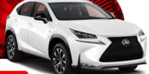 Full Day Taxi Service