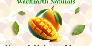 Fresh Alphonso Mangoes