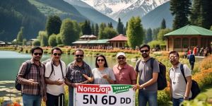 nonstop tour travel service