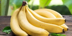 Fresh Cavendish Banana