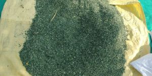 Moringa Leaves