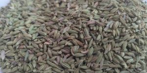 Organic Cumin Seeds