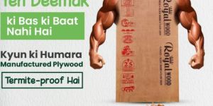 Mr Grade Plywood