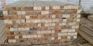 Australia Pine Wood Pallet All Size Available
