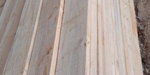 New Zealand Pine Wood