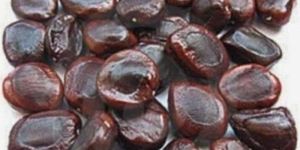 Tamarind Seeds