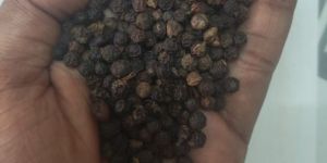Black Pepper