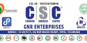 E Governance Services