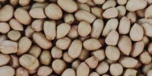 Raw Peanut
