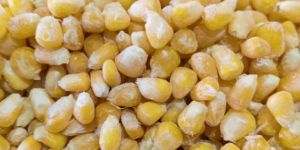 Frozen American Sweet Corn