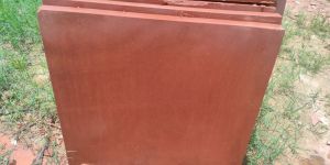 Agra Red Sandstone