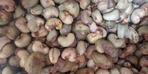Raw Cashew Nuts