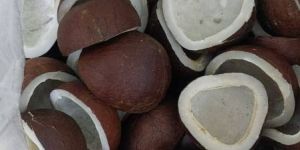 Dried Copra Coconut