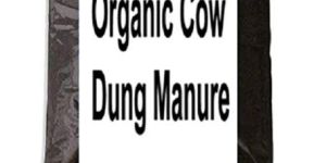 Cow Dung Manure