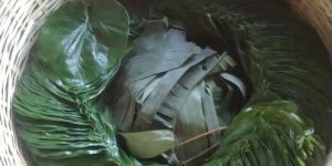 Mitha Khar Paan Patta