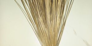 Bamboo Jhadu