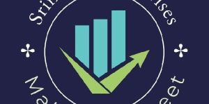Business Finance Consultants