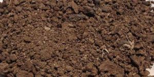 Cow Dung Powder