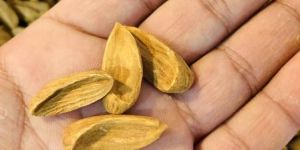 Kashmiri Mamra Badaam