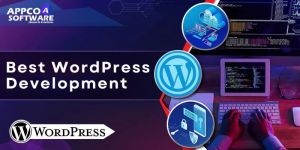 Wordpress Development Services